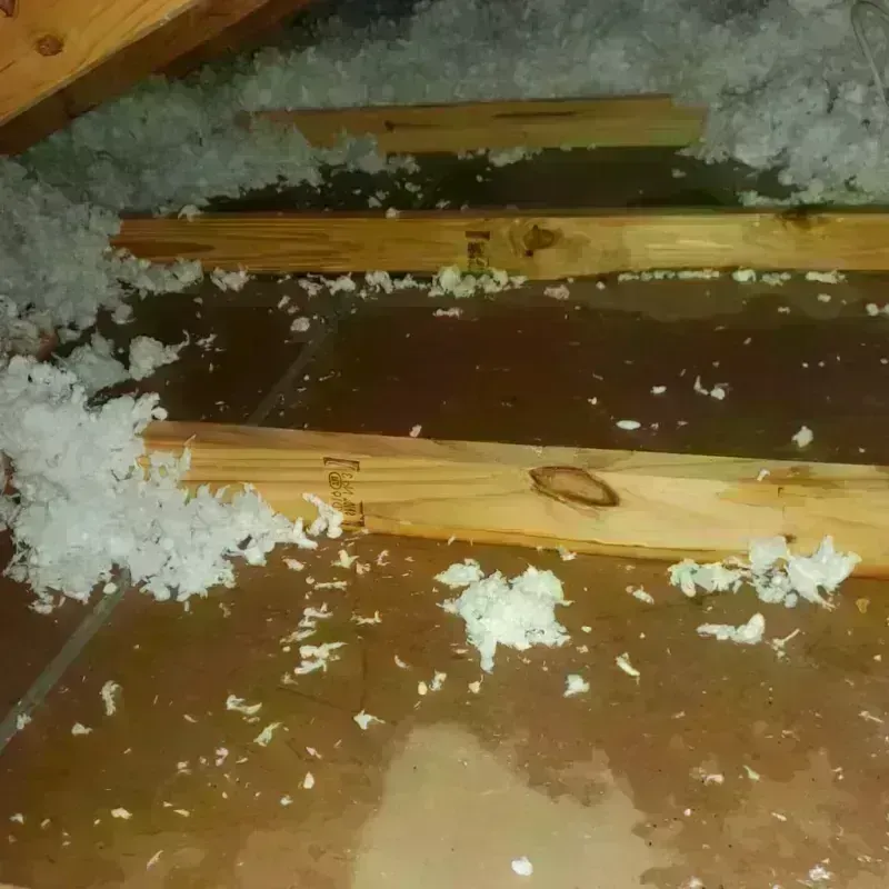 Attic Water Damage in Needles, CA