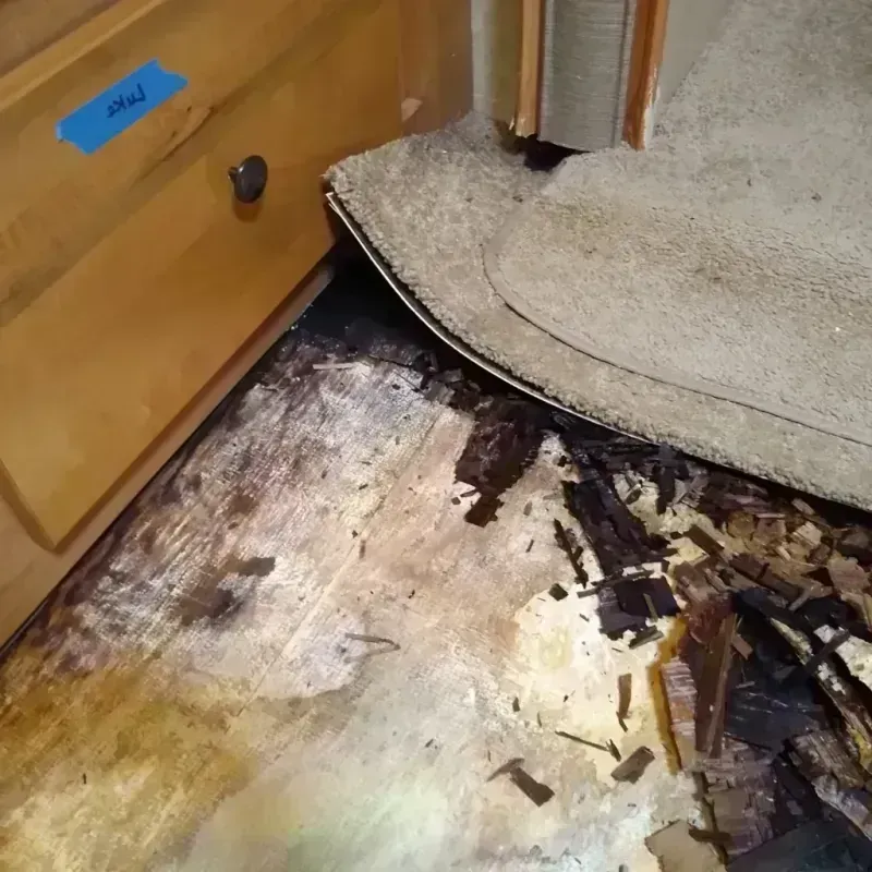 Wood Floor Water Damage in Needles, CA